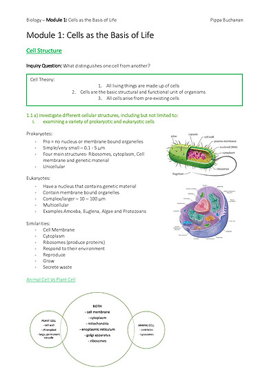 Cover page of Year 11 Biology | Full Course Notes