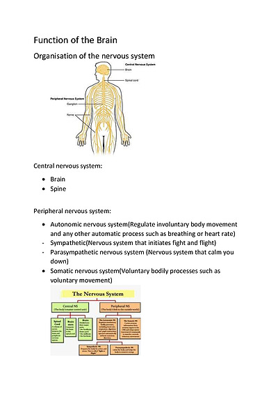 Cover page of Function of the brain