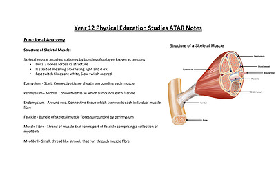 Cover page of Physical Education Studies Year 12 ATAR Notes