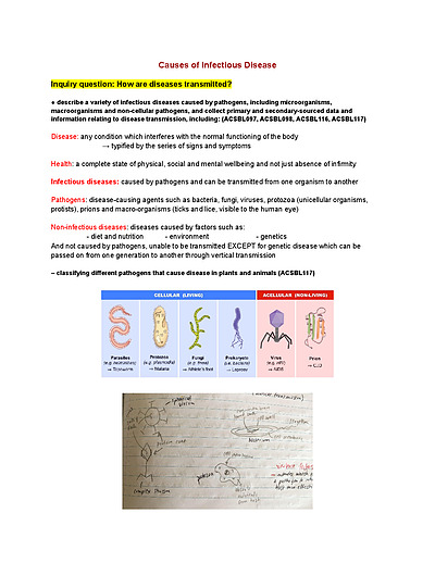 Cover page of 96.6 ATAR - HSC BIOLOGY - Module 7