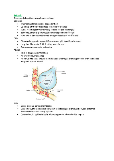 Cover page of YR11 ATAR biology notes