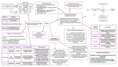 Cover page of Psychology - cognition 