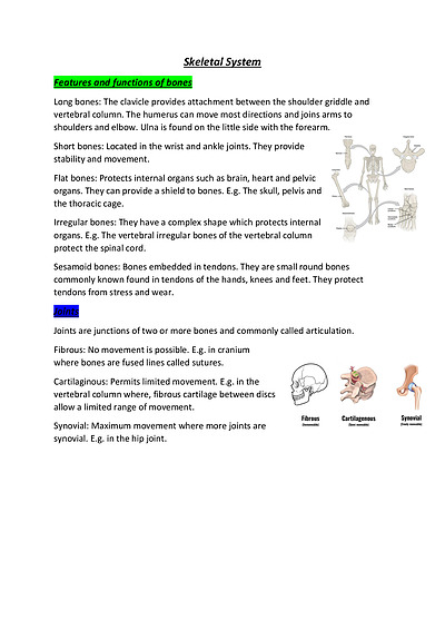 Cover page of Body in Motion- Critical question 1, skeletal system notes