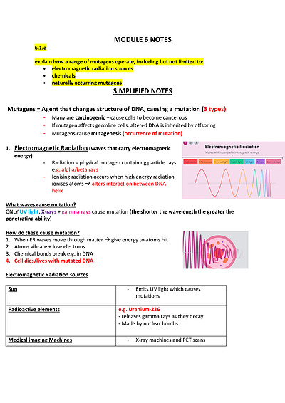 Cover page of Band 6 - Module 6 biology notes 