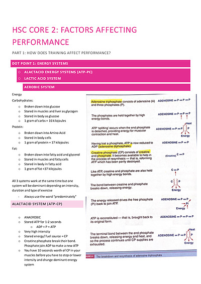 Cover page of  PDHPE CORE 2 - Factors Affecting Performance