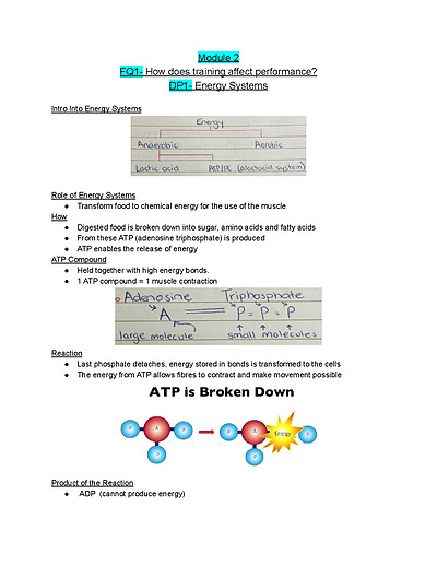 Cover page of PDHPE HSC MODULE 2