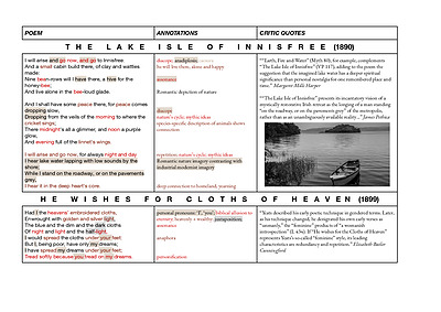 Cover page of Module B: Yeats Essay 