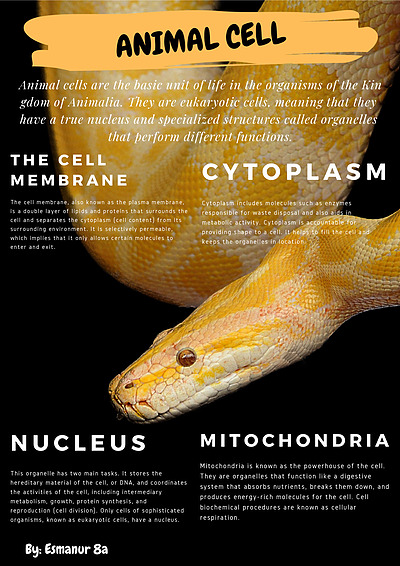 Cover page of Animal and Plant Cells