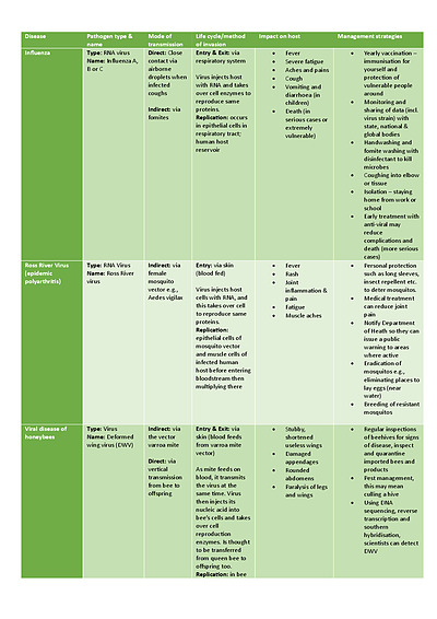 Cover page of 8 Diseases Summary Table