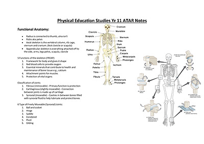 Cover page of Physical Education Studies Year 11 ATAR Notes
