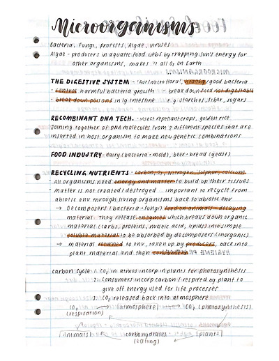 Cover page of SACE Y11 BIO Topic 2- Infectious Disease Full Book Notes