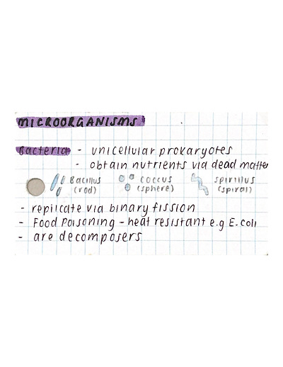 Cover page of SACE Y11 BIOLOGY Topic 2- Infectious Diseases Full Subject Flashcards