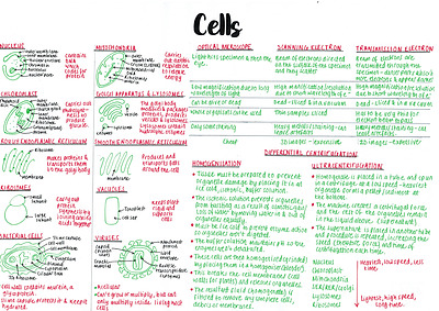 Cover page of Summary notes for ALL Biology content