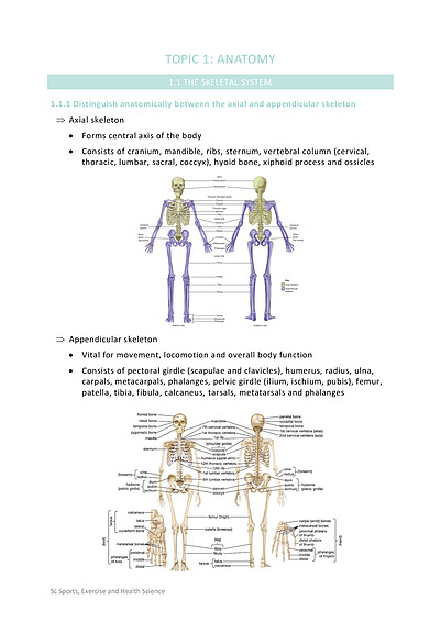 Cover page of IB Standard Level Sports, Exercise and Health Science (SEHS) Notes