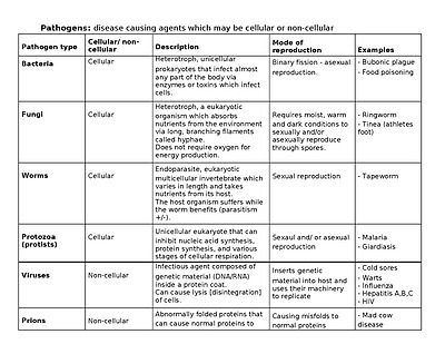 Cover page of Biology Unit 4: PATHOGENS