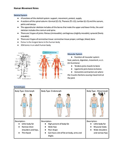 Cover page of Y8 Human Movement Notes (2020)