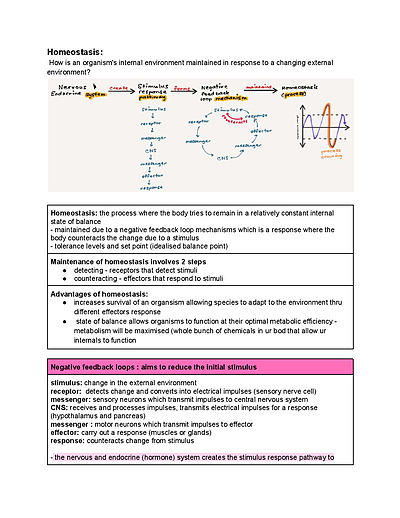 Cover page of ALL IN ONE MODULE 8 NON INFECTIOUS BIOLOGY HSC NOTES