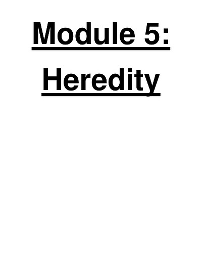 Cover page of 🦠  | MODULE 5+6 | B6 96 HSC BIO NOTES 🔬