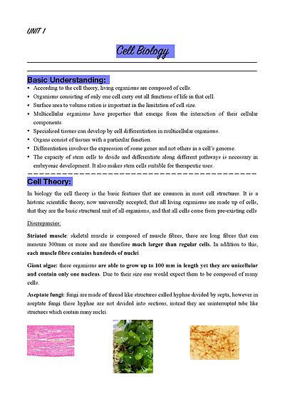 Cover page of IB Biology HL Complete Syllabus