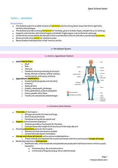 Cover page of Sports, Exercise & Health Science HL Notes