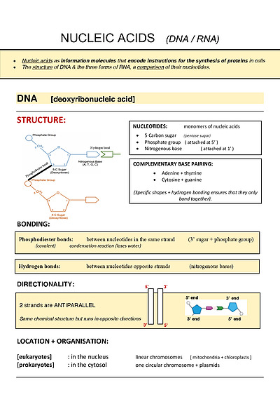 Cover page of Biology u3 notes **RAW 47** - new study design