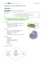 Cover page of Year 11 Biology | Full Course Notes