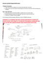 Cover page of Human Centered Design Exam