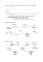 Cover page of Module 8 non-infectious disease