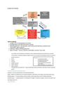 Cover page of Band 6 HSC Business Studies MARKETING Notes