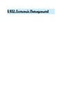 Cover page of Unit 4 EXTERNAL Economics Notes