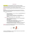 Cover page of 96.6 ATAR - HSC BIOLOGY - Modules 5 and 6