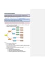 Cover page of Biology - module 7 infectious diseases