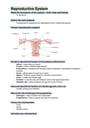 Cover page of VCE VET Health/VCE VET Health Services (Allied Health) U3/4 Notes (2022)