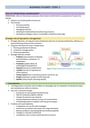 Cover page of BUSINESS STUDIES OPERATIONS BAND 6 Notes & Case Studies