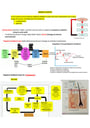 Cover page of Band 6 - Module 8 biology notes