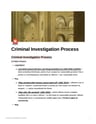 Cover page of BAND 6 - CRIMINAL INVESTIGATION PROCESS ESSAY PLANS