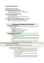Cover page of Band 5 - Legal Study Notes - Human Rights