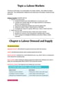 Cover page of Topic 4 - Labour Markets - Comprehensive Band 6 Notes
