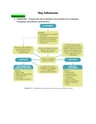 Cover page of Year 12 Business Studies - Brief Notes On Human Resources Key Influences