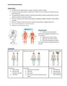 Cover page of Y8 Human Movement Notes (2020)