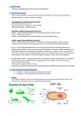 Cover page of Y9 Biology & Physics Notes