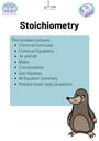 Cover page of Year 10 Chemistry: Stoichiometry
