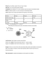 Cover page of IB Chemistry HL - Topic 2: Atomic structure